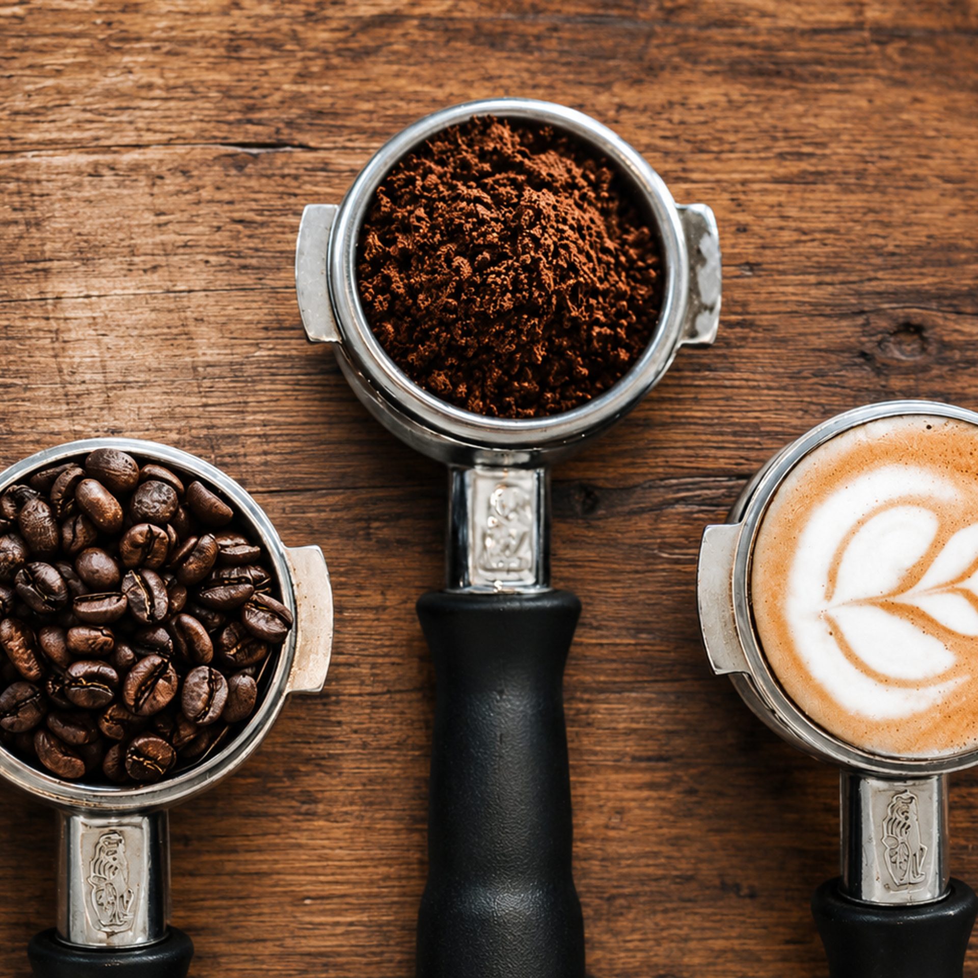From Chiapas to Your Cup