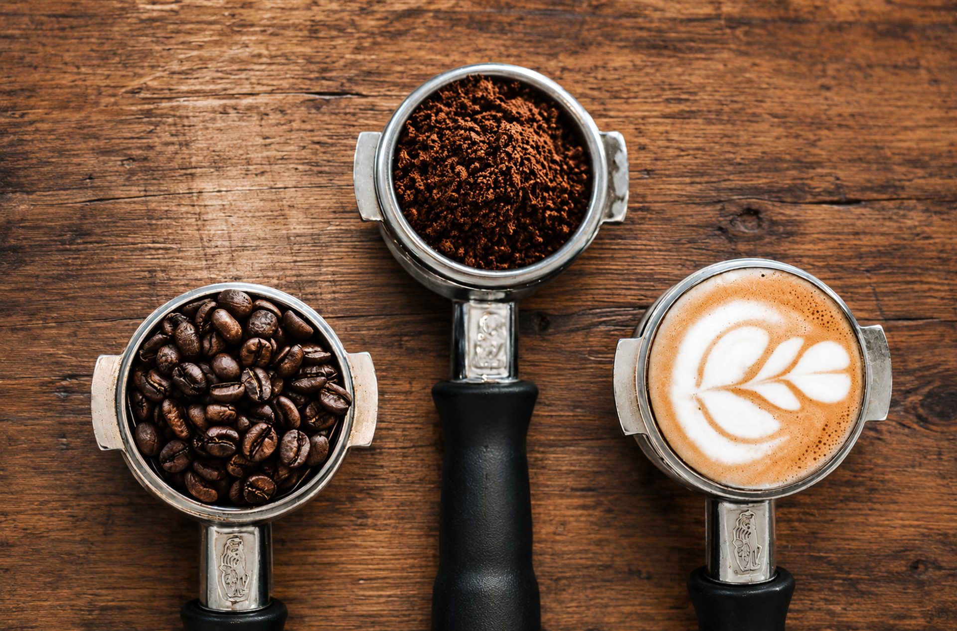 From Chiapas to Your Cup