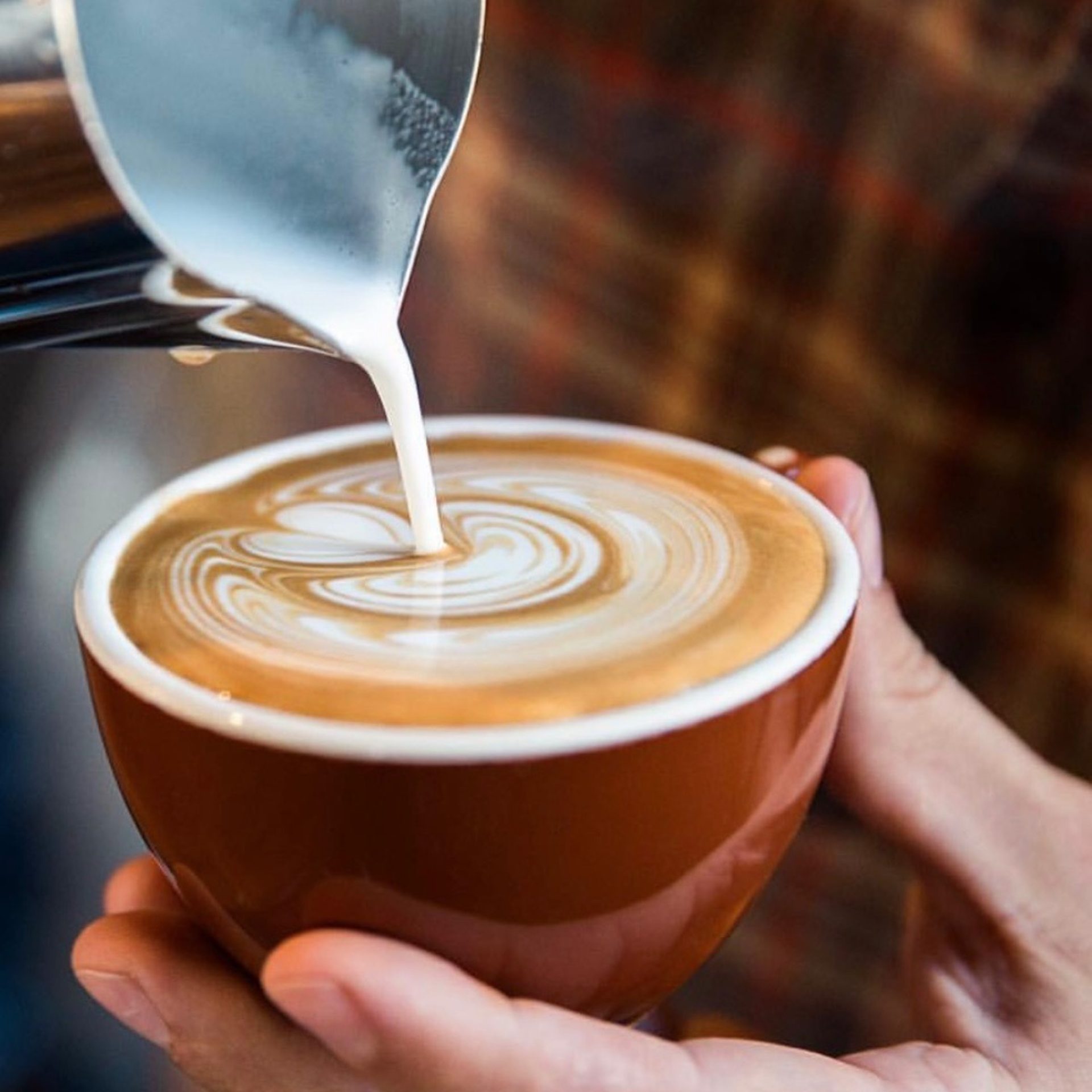 From Seed to Cup, Cafe de Chiapas