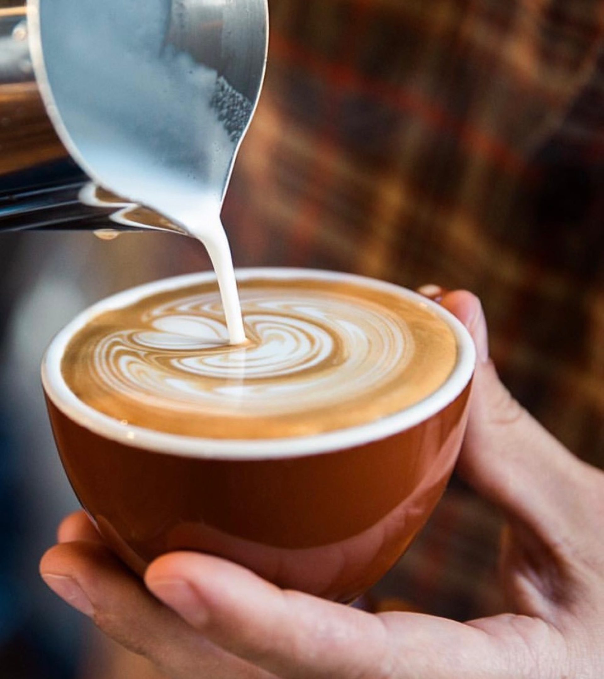 From Seed to Cup, Cafe de Chiapas