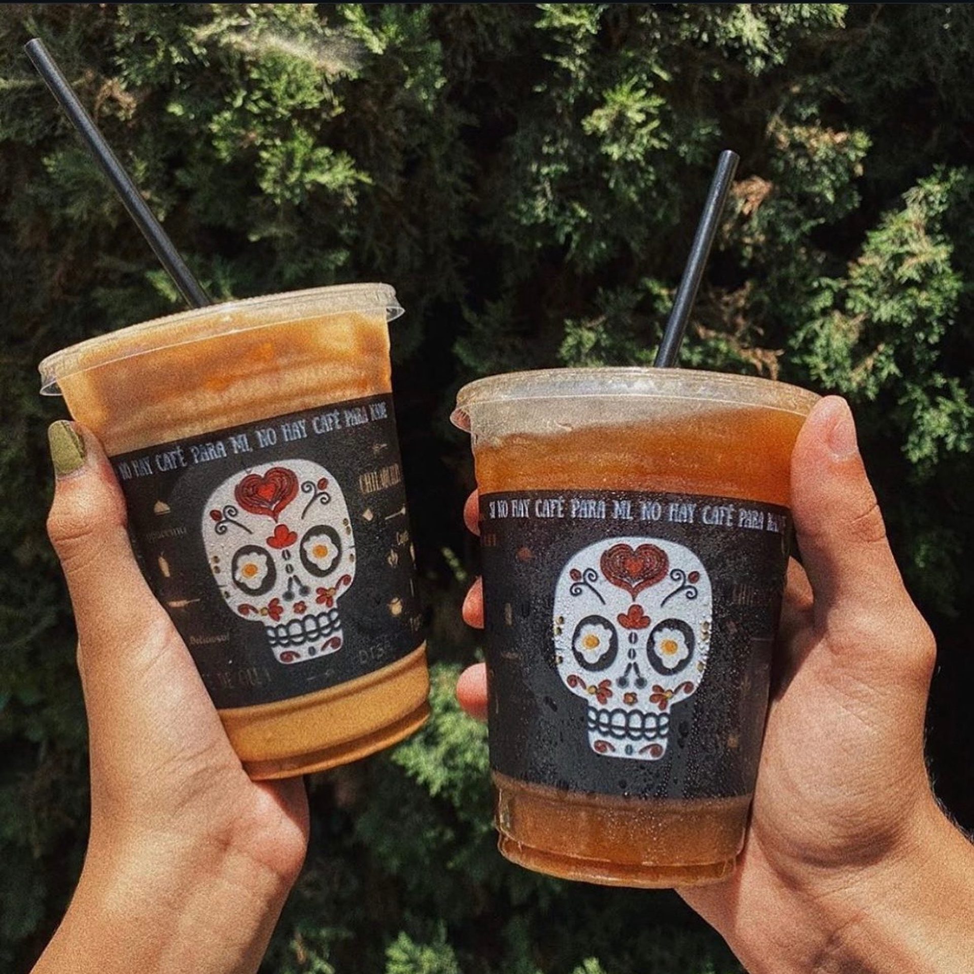 Café Cultura Rewards